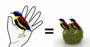 Screen Shot 2016-02-17 at 10.35.56 PM