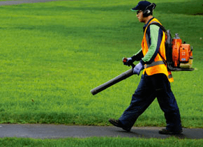 Screen Shot 2016-02-27 at 8.28.41 PM.png